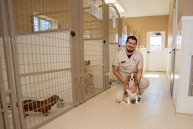 Pet Boarding & Grooming - Houston TX - Oak Forest Veterinary Hospital