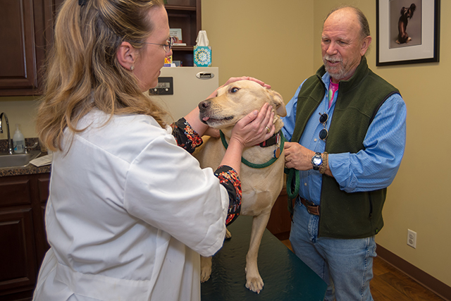Pet Wellness Care - Houston, TX - Oak Forest Veterinary Hospital