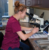 Animal Diagnostic Laboratory Testing - Veterinary Services - Houston, TX