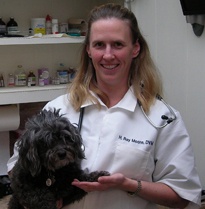 Veterinary Service Provider - Houston, TX