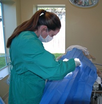Veterinary Services - Surgery and Anesthesia