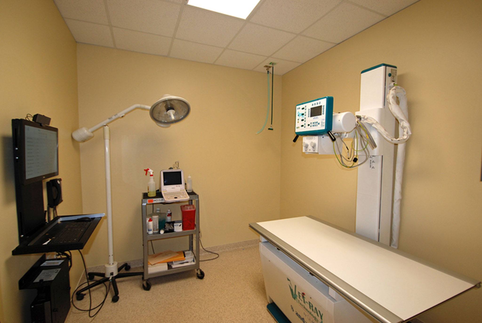 Imaging, Radiology & Ultrasonography - Houston, TX - Oak Forest Veterinary Hospital