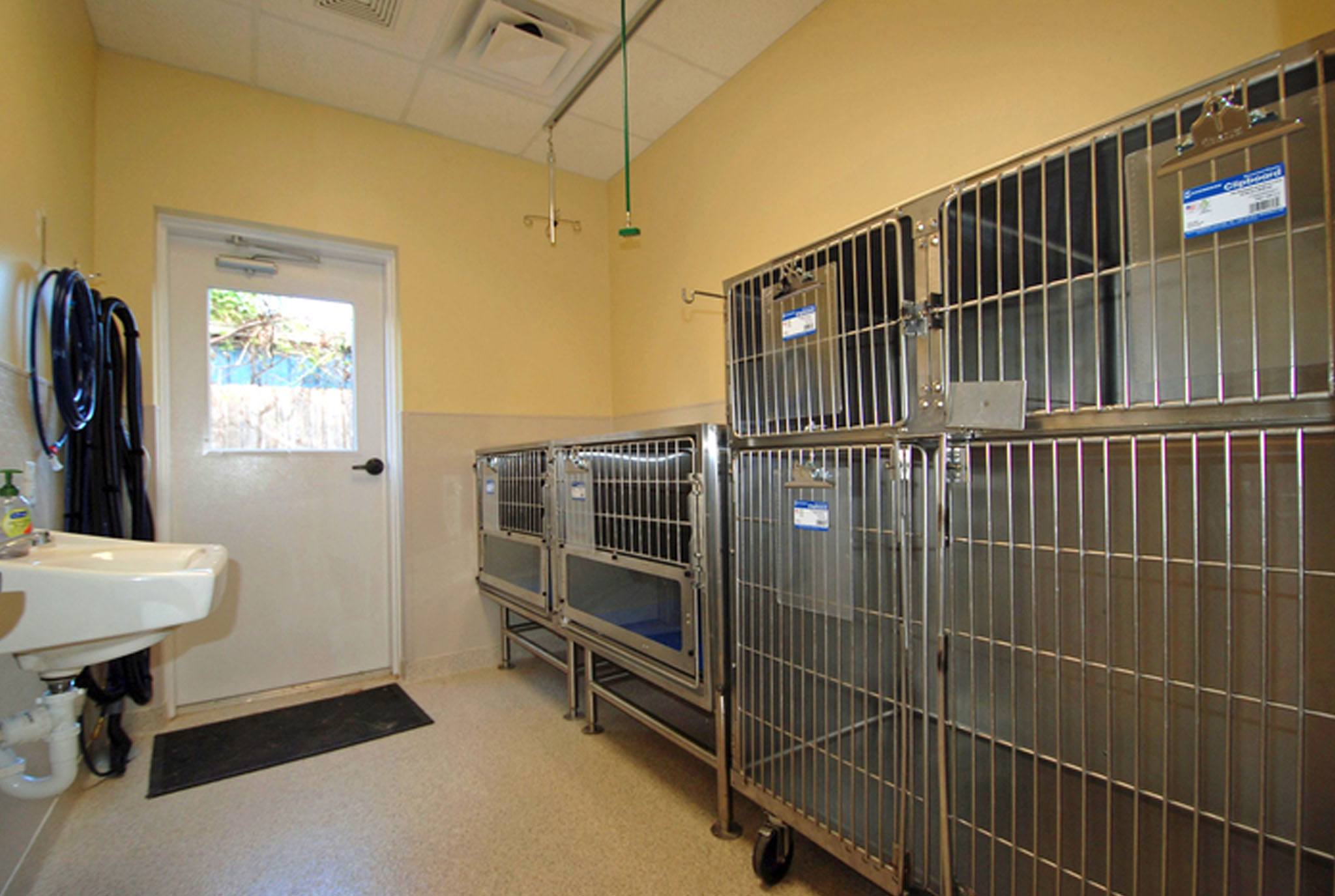 Isolation - Houston, TX - Oak Forest Veterinary Hospital