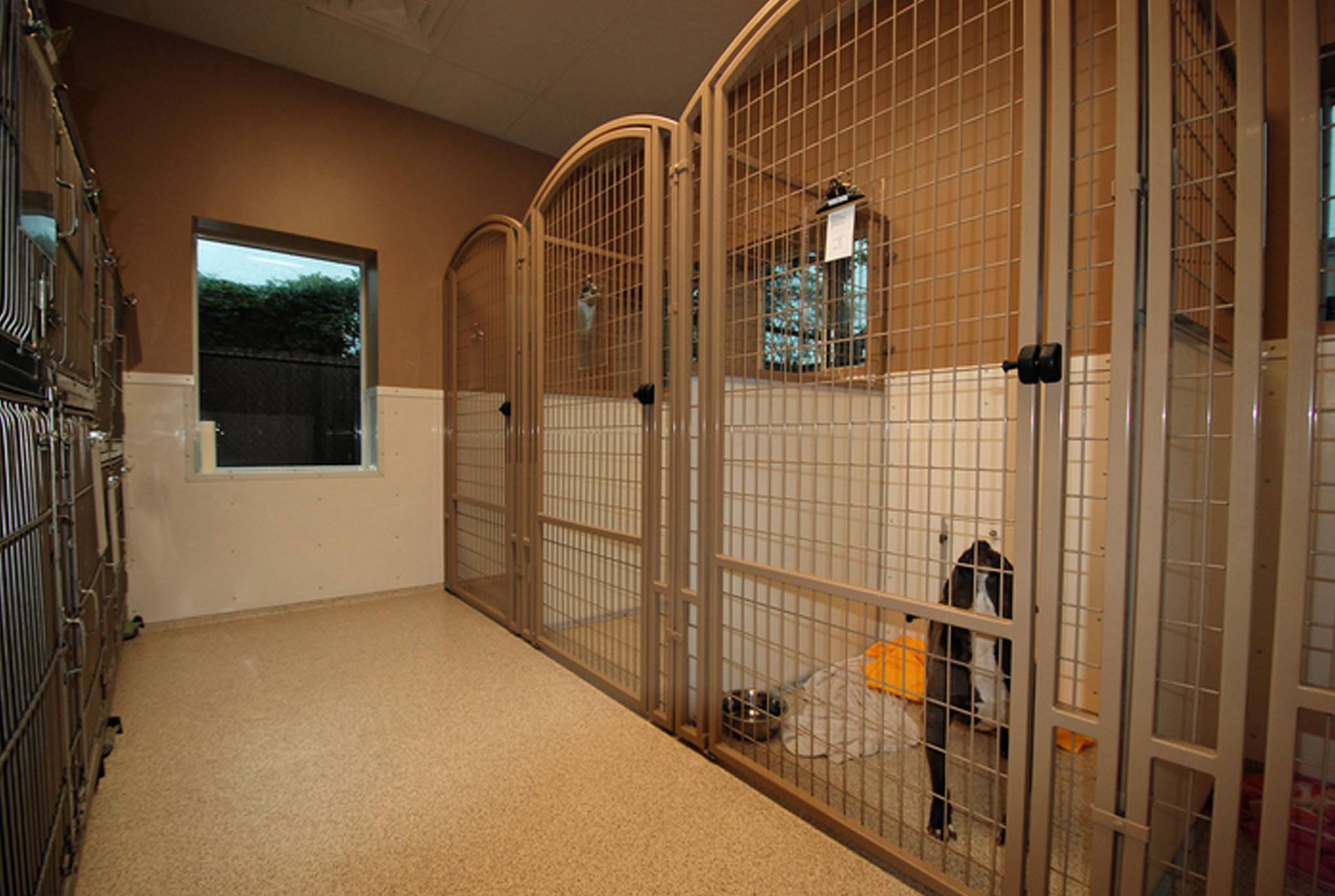 Canine Hospitalization - Houston, TX - Oak Forest Veterinary Hospital
