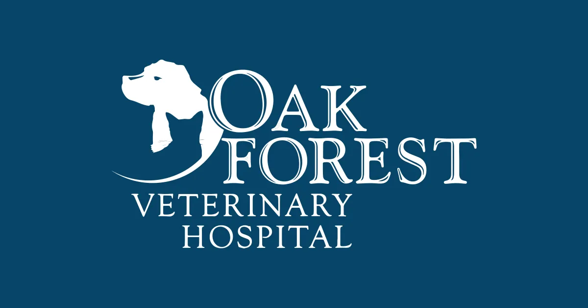 Mette Dittman - Oak Forest Veterinary Hospital